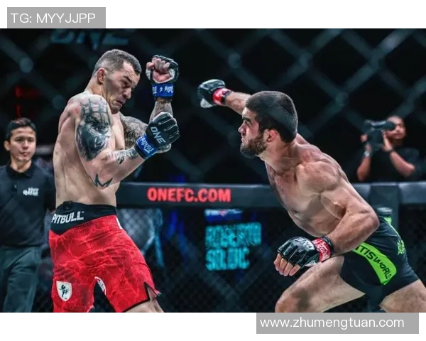 荷兰选手在世界踢拳锦标赛中展现强大实力引发热议